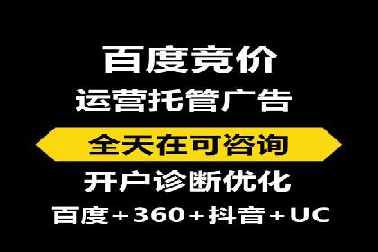 谷歌竞价广告的投放策略与成功案例分析
